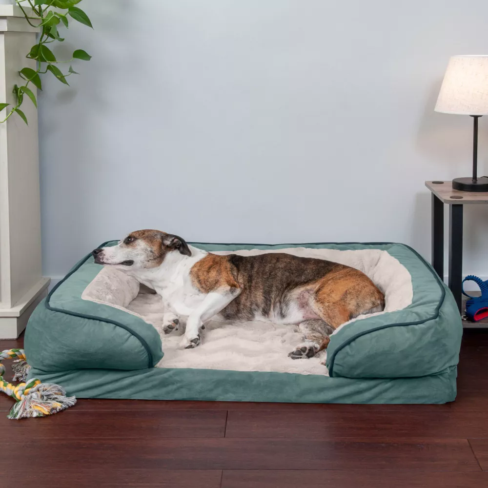 FurHaven Velvet Waves Perfect Comfort Orthopedic Sofa Cat & Dog Bed. Celadon Green. Large