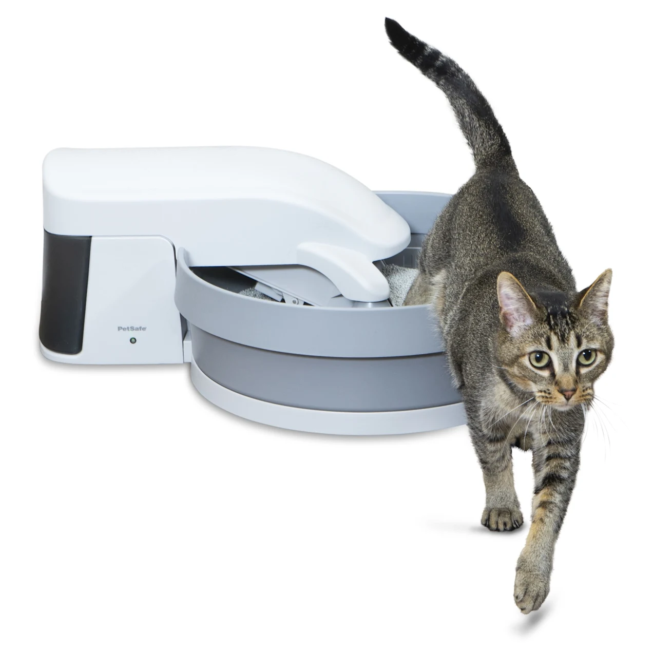 ScoopFree by PetSafe Simply Clean Cat Litter Box. Medium
