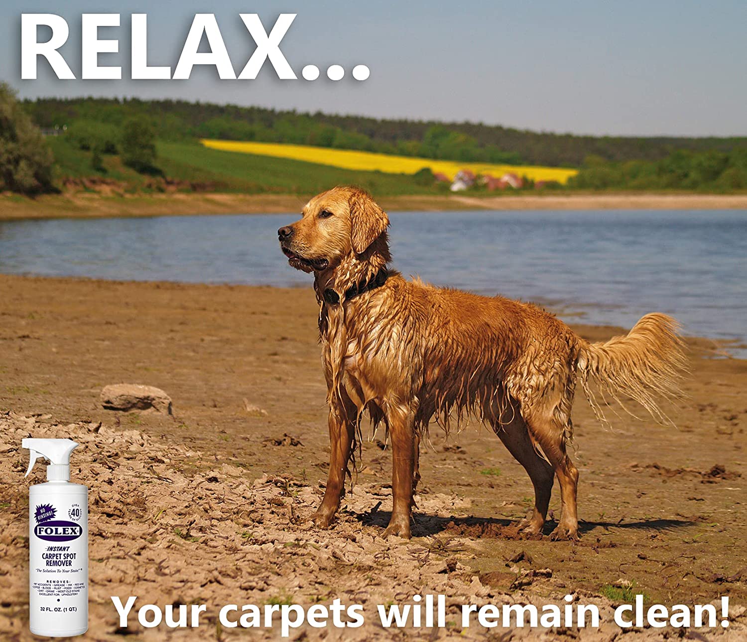 FOLEX Instant Carpet Spot Remover + Daley Mint Cloth. 32oz