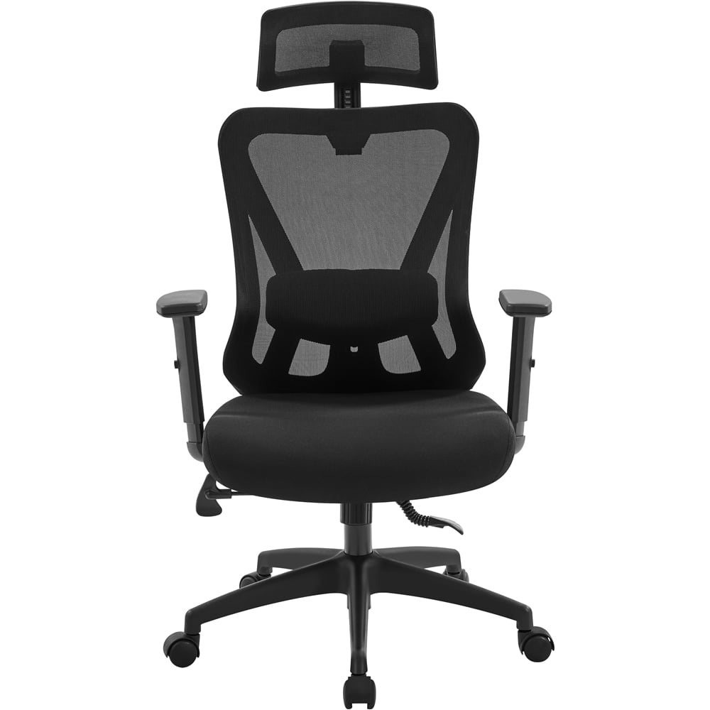 Smile Mart High-Back Ergonomic Mesh Office Chair with Adjustable Headrest. Black