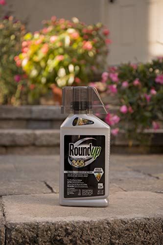 Roundup Concentrate Max Control 365 Vegetation Killer. 32 oz.