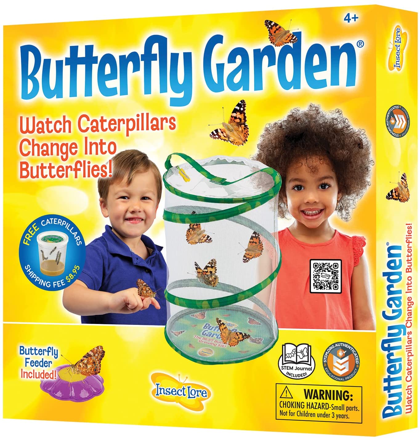 Insect Lore - Butterfly Growing Kit - With Voucher to Redeem Caterpillars Later
