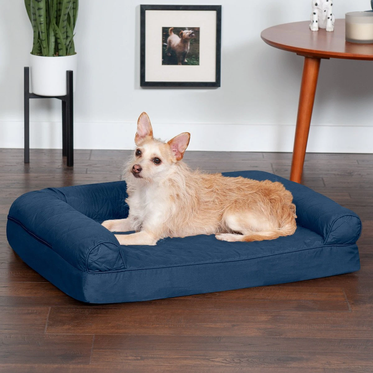 FurHaven Quilted Orthopedic Sofa Cat & Dog Bed w/ Removable Cover. Navy. Medium