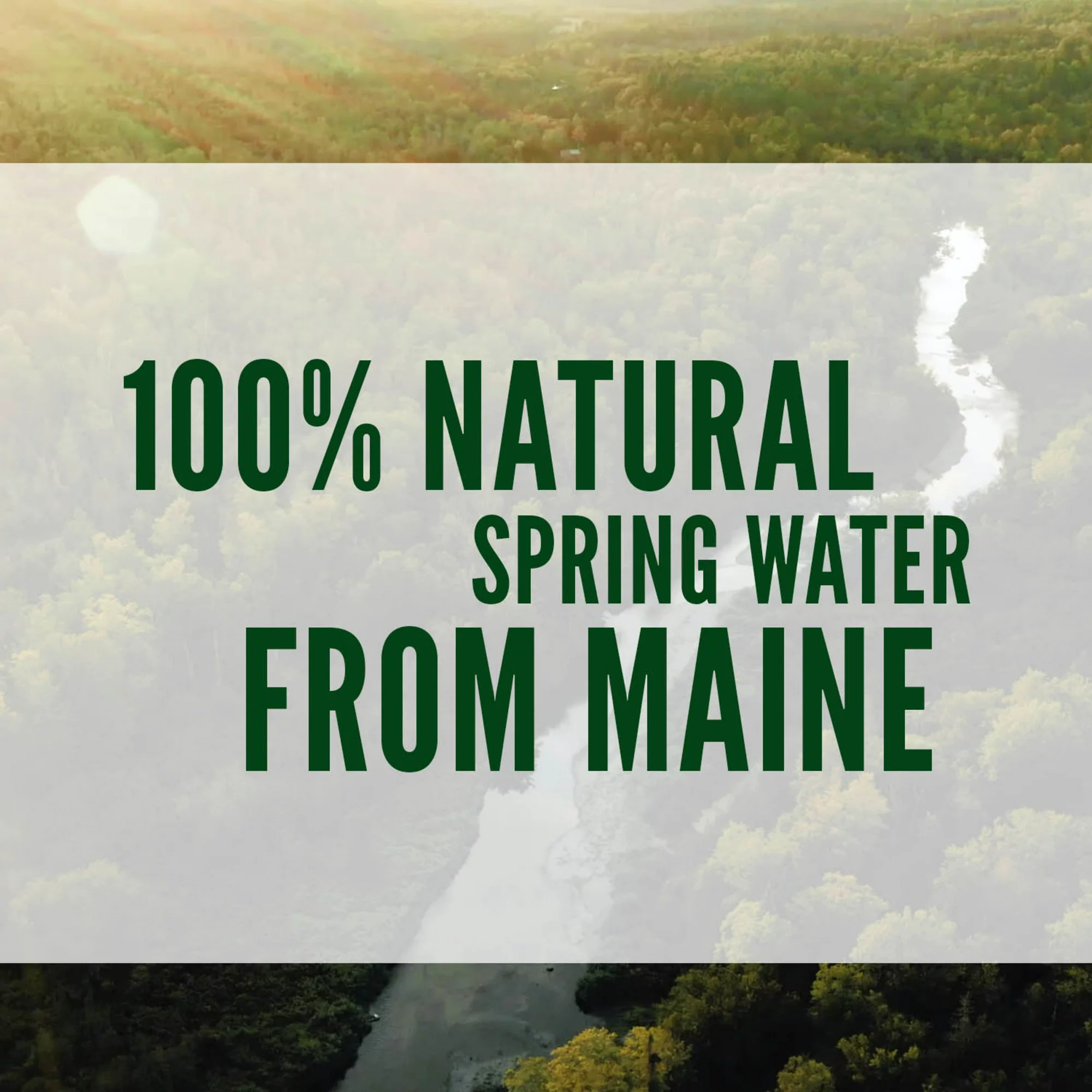 Poland Spring 100% Natural Spring Water 8 Fl Oz 48 Count Bottles