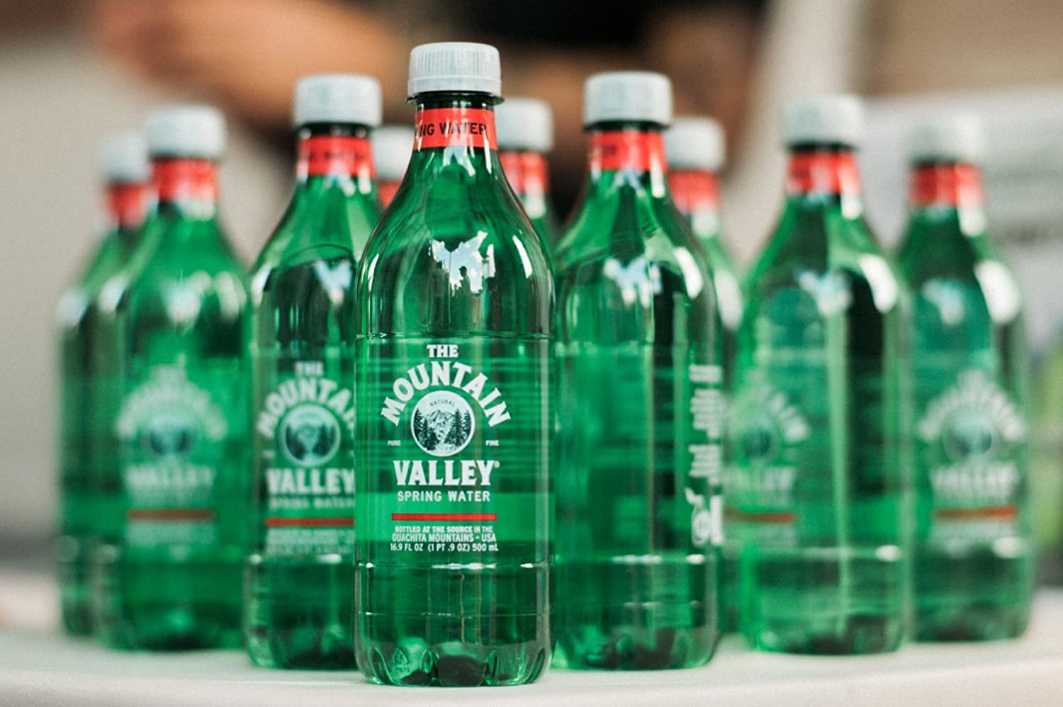 Mountain Valley Spring Water 500 ML Spring Water in Plastic