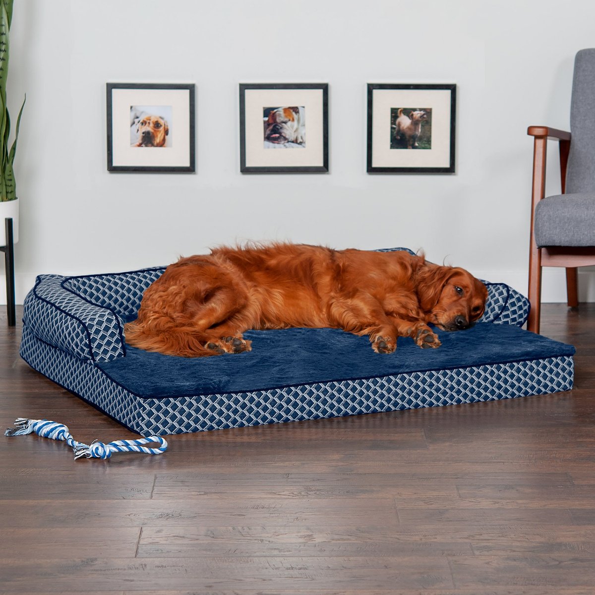 FurHaven Comfy Couch Orthopedic Bolster Dog Bed w/Removable Cover - Diamond Blue. Jumbo