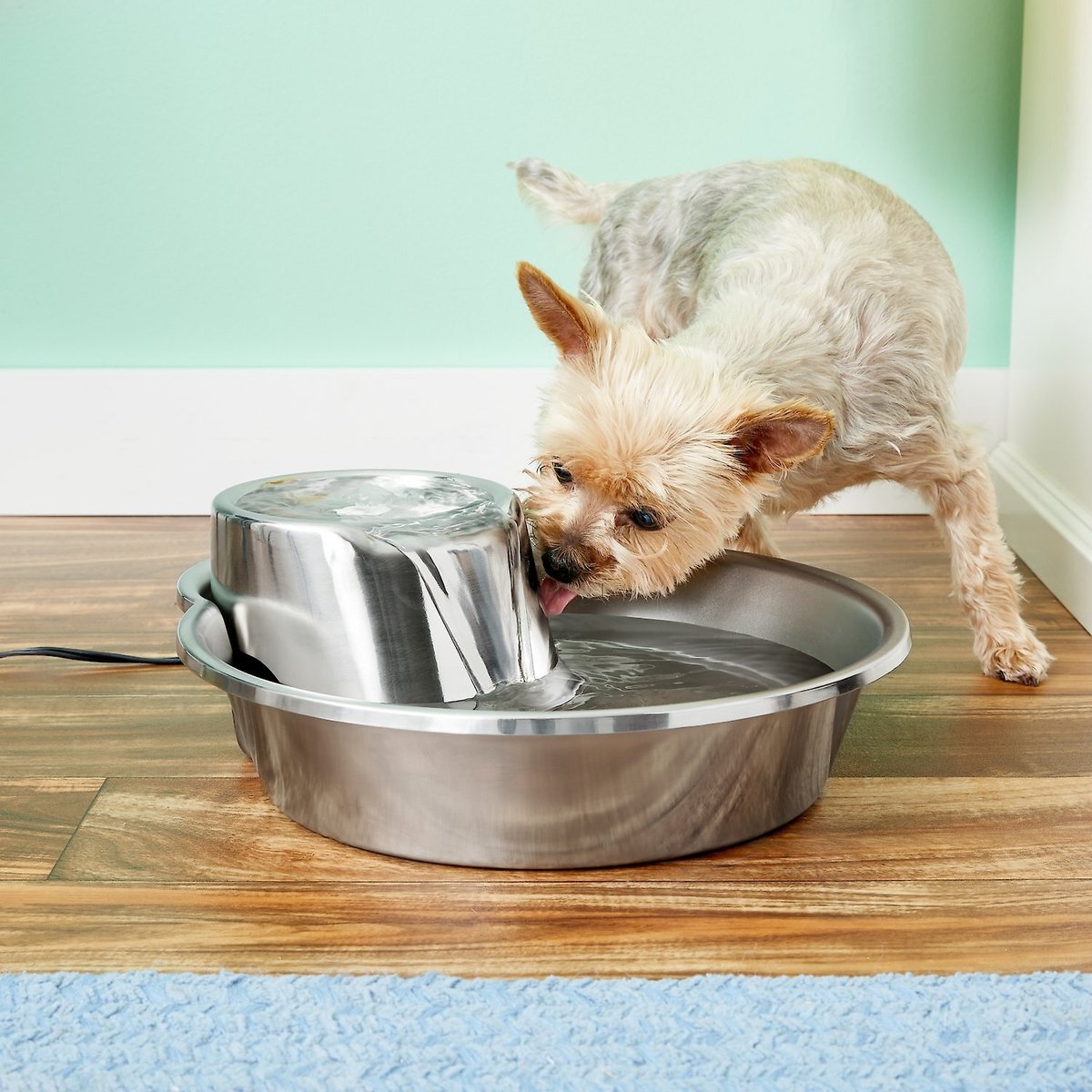 Pioneer Pet Big Max Style Stainless Steel Dog & Cat Fountain. 128-oz