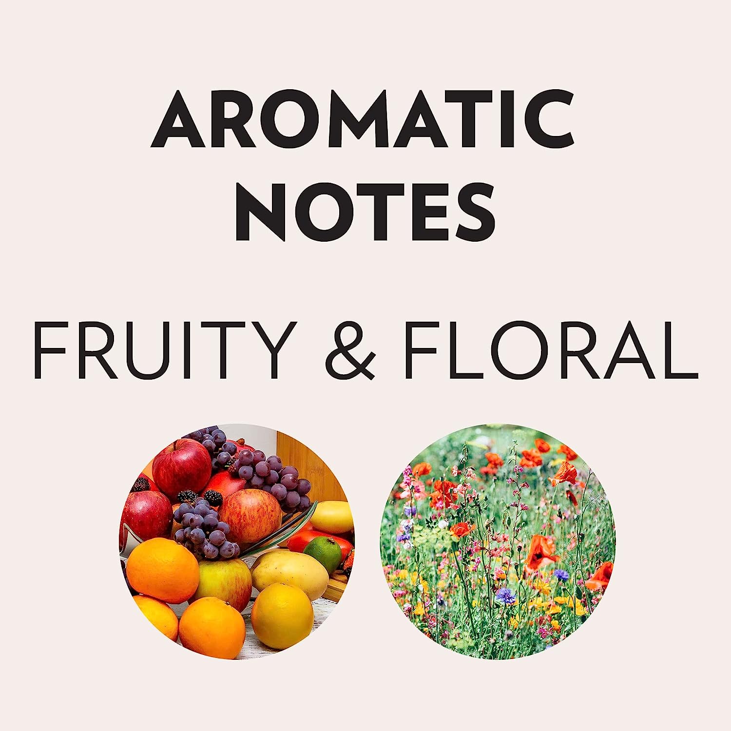 Lavazza Espresso Italiano Ground Coffee. 100% Arabica. 20 oz Soft Bag. Authentic Italian. 100% Arabic Ground Coffee. Blended And Roated in Italy. Value Pack Pack of 6