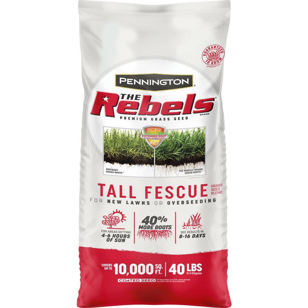Pennington 100543731 The Rebels 40 lbs. Tall Fescue Grass Seed Blend