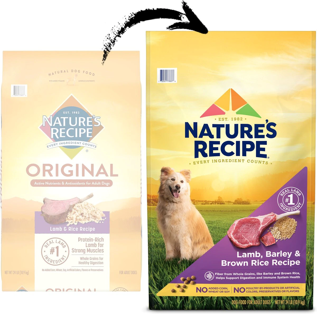 Nature-s Recipe Adult Lamb. Barley & Brown Rice Recipe Dry Dog Food -  24-lb bag