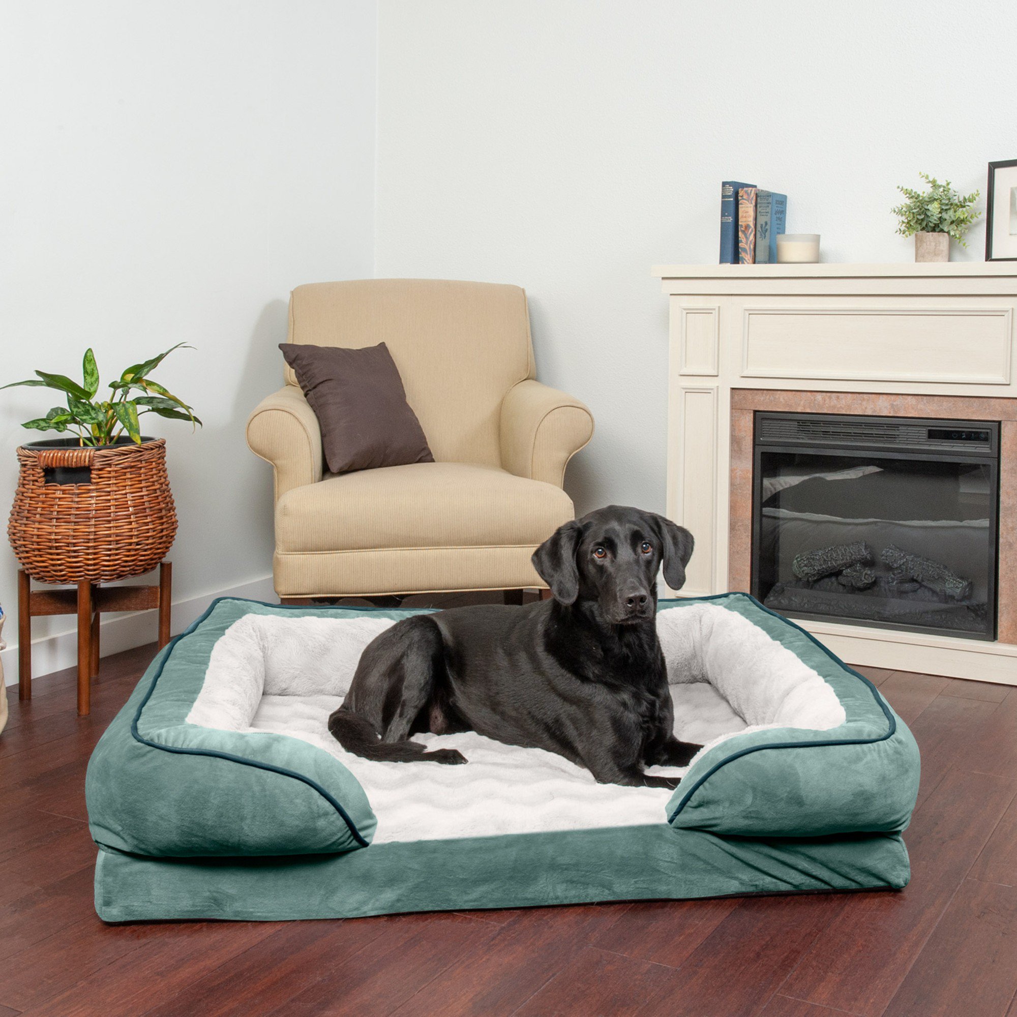 FurHaven Velvet Waves Perfect Comfort Orthopedic Sofa Cat & Dog Bed. Celadon Green. Jumbo