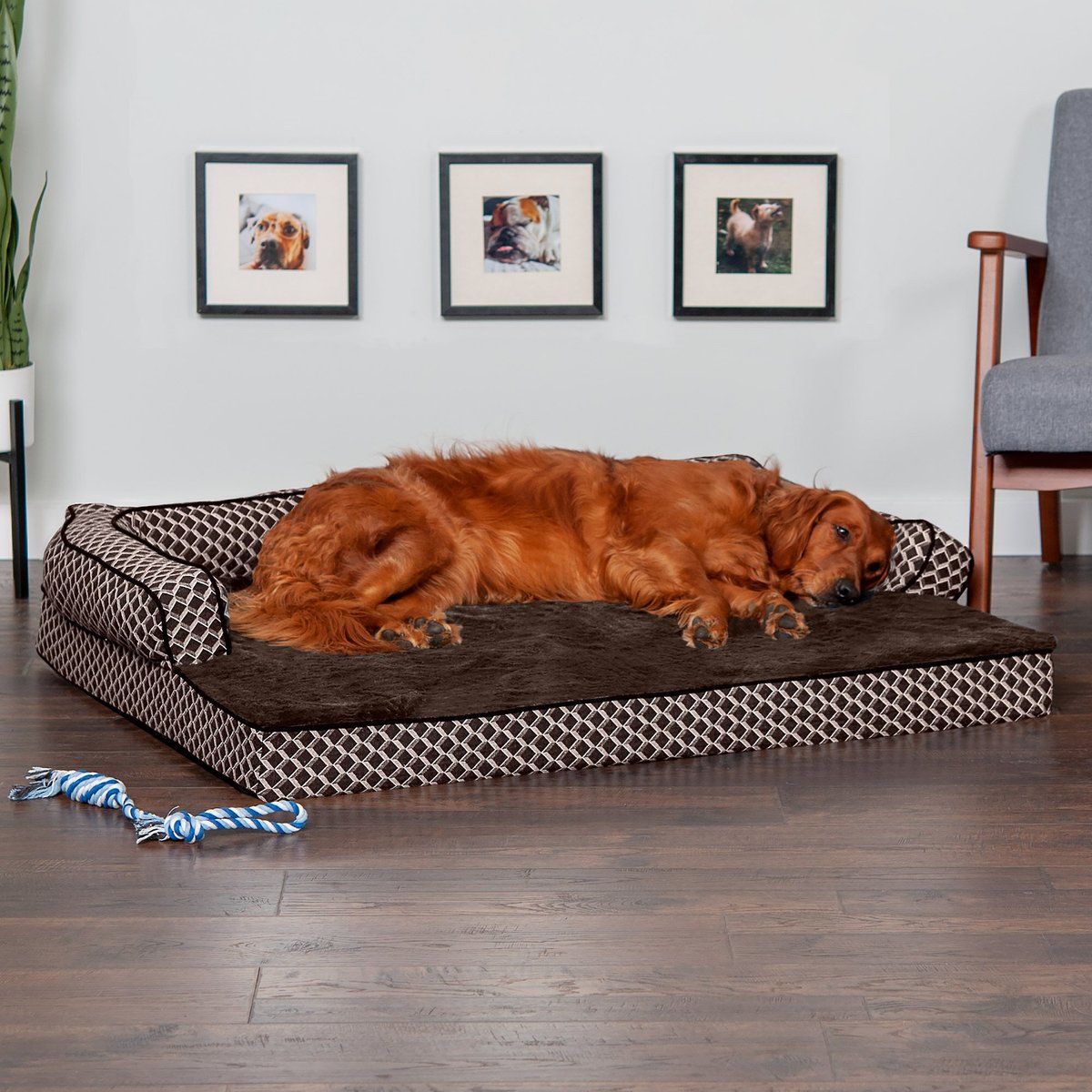 FurHaven Comfy Couch Orthopedic Bolster Dog Bed w/Removable Cover - Diamond Brown. Jumbo
