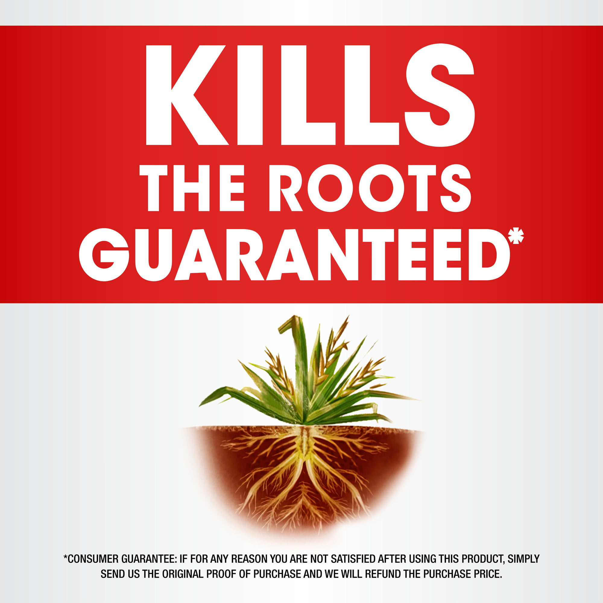 Roundup Concentrate Plus Weed and Grass Killer. 64 oz.