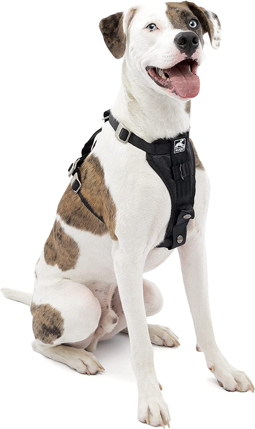 Kurgo Tru-Fit Enhanced Strength Crash Tested Smart Car Dog Harness. Medium. Black
