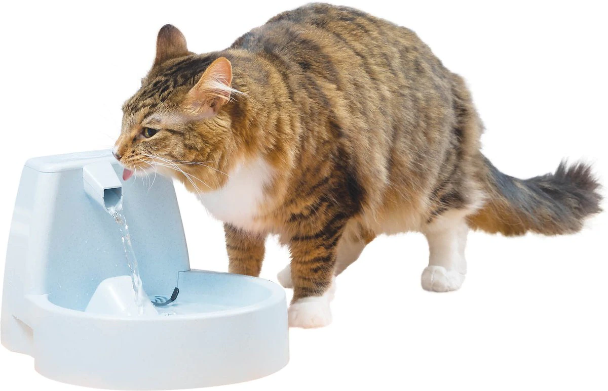 PetSafe Drinkwell Original Plastic Dog & Cat Fountain. 50-oz