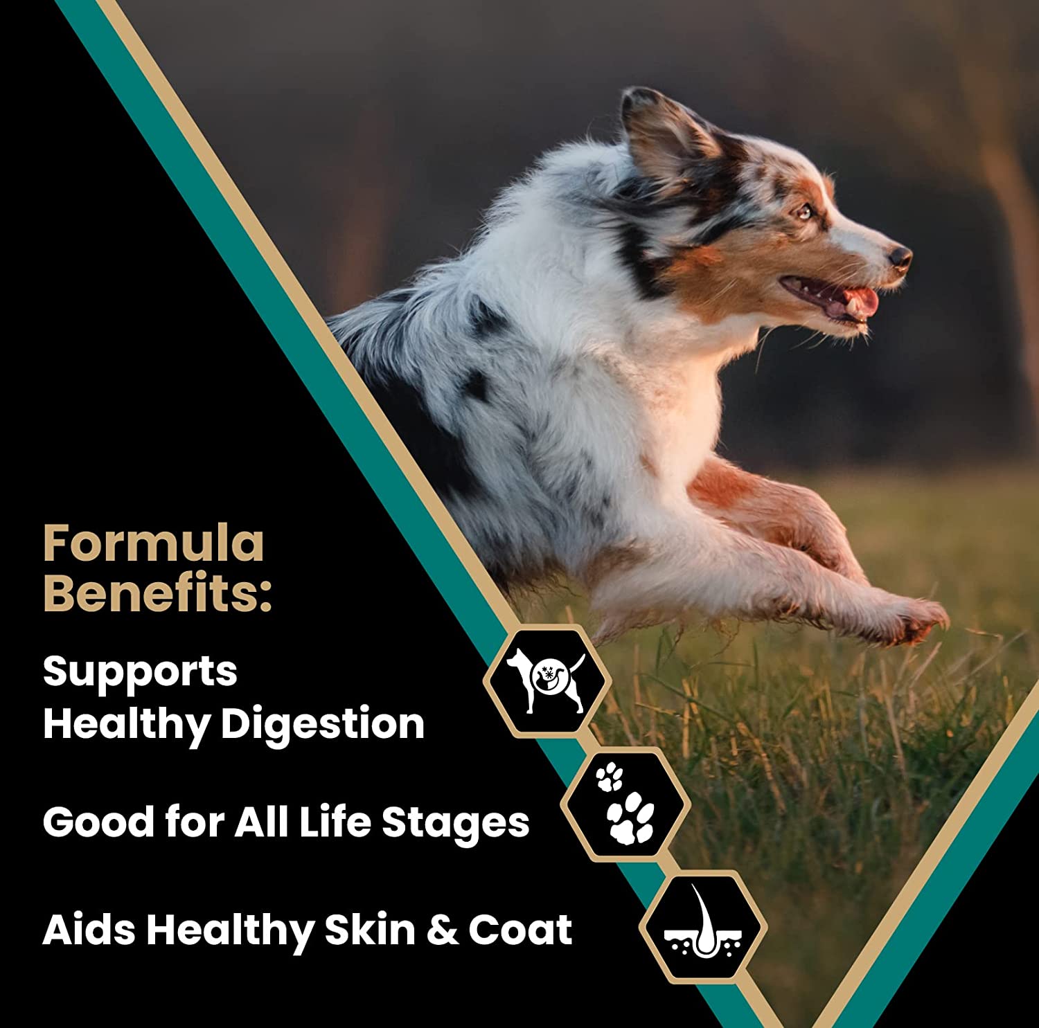 VICTOR Select Ocean Fish Formula Dry Dog Food 15 Pound (Pack of 1)