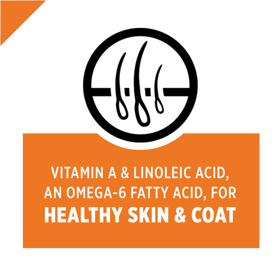 Purina Pro Plan High Protein Grain Free Adult Wet Cat Food Turkey & Vegetable (24) 3 oz. Cans