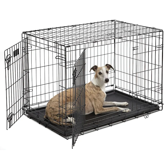 Midwest iCrate Double Door Folding Dog Crate. 36″ L X 23″ W X 25″ H