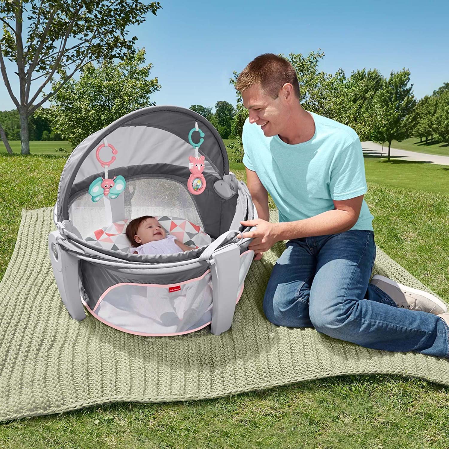 Fisher-Price Portable Bassinet And Play Space On-The-Go Baby Dome With Developmental Toys And Canopy. Rosy Windmill