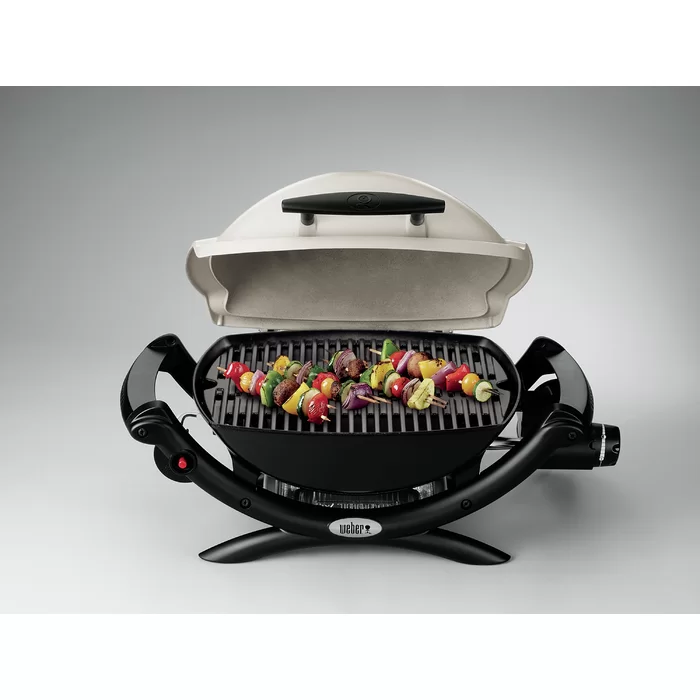 Weber Q 1000. Titanium