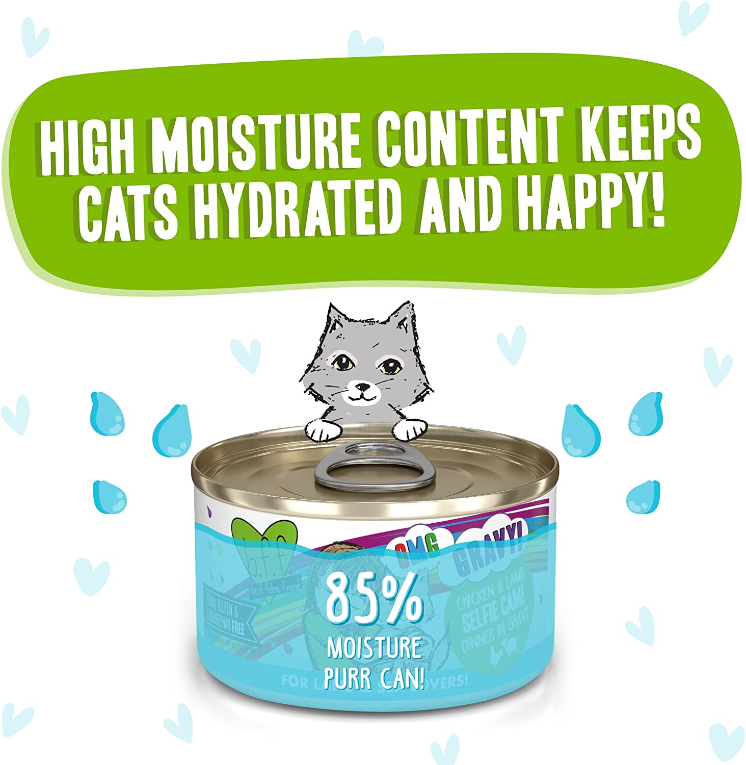 Weruva B.F.F. OMG - Best Feline Friend Oh My Gravy!. Selfie Cam! with Chicken & Lamb in Gravy Cat Food. 2.8-Ounce Can (Pack of 12)