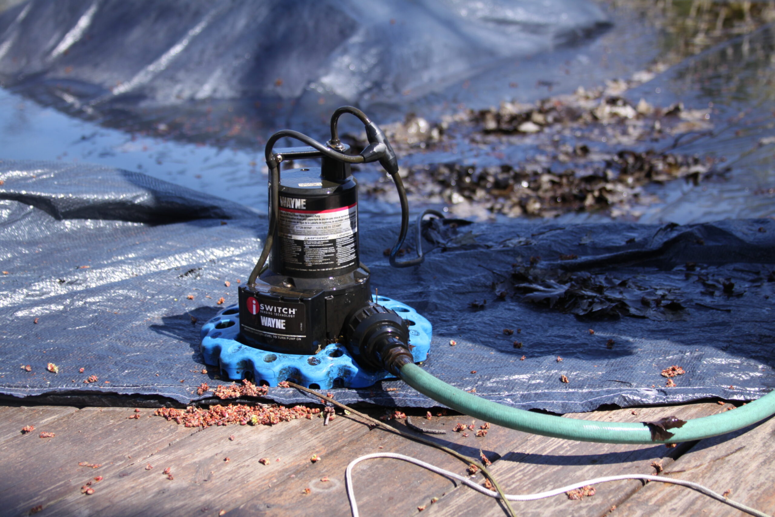 WAYNE WAPC250 1/4 HP Automatic ON/OFF Water Removal Pool Cover Pump