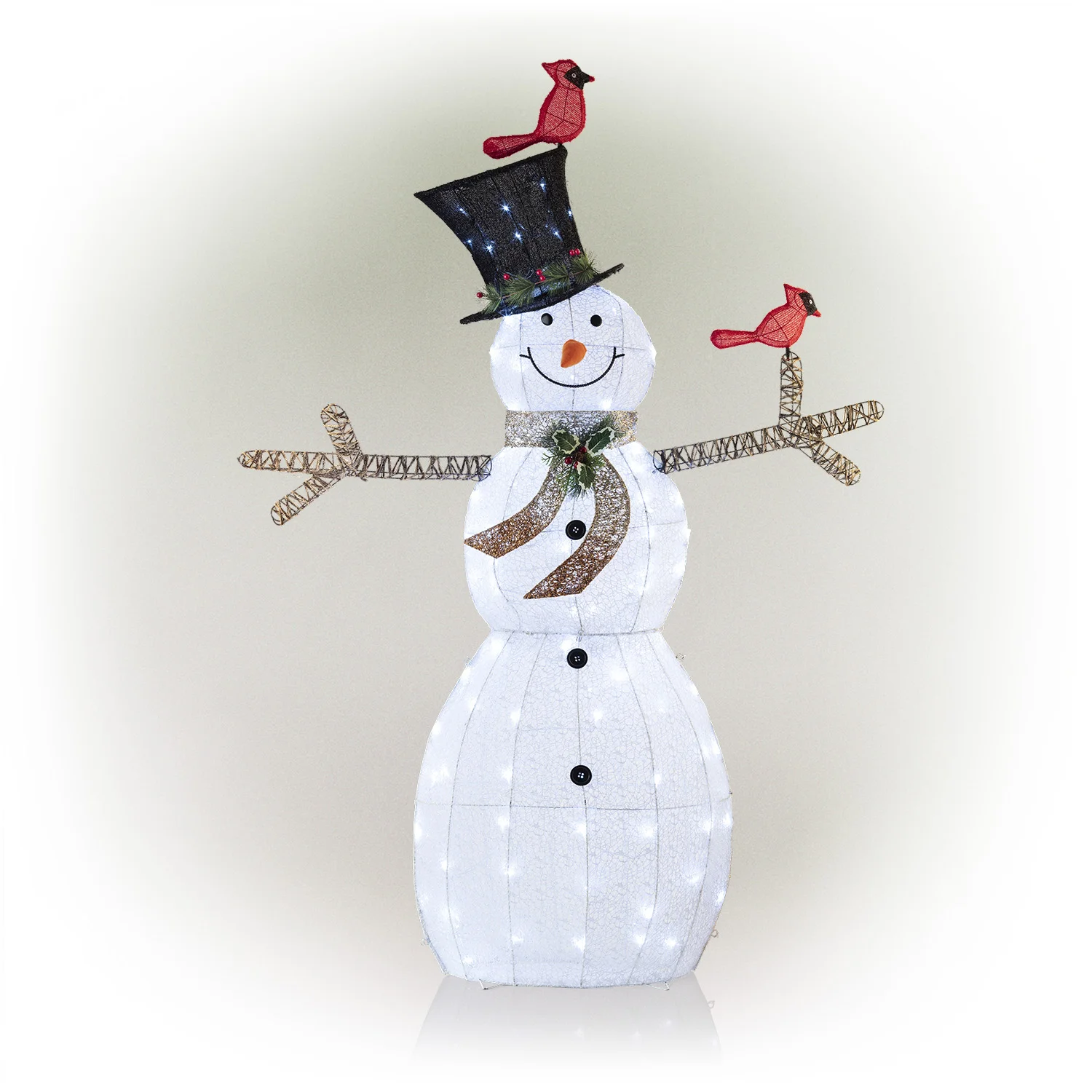 Snowman Lighted Display