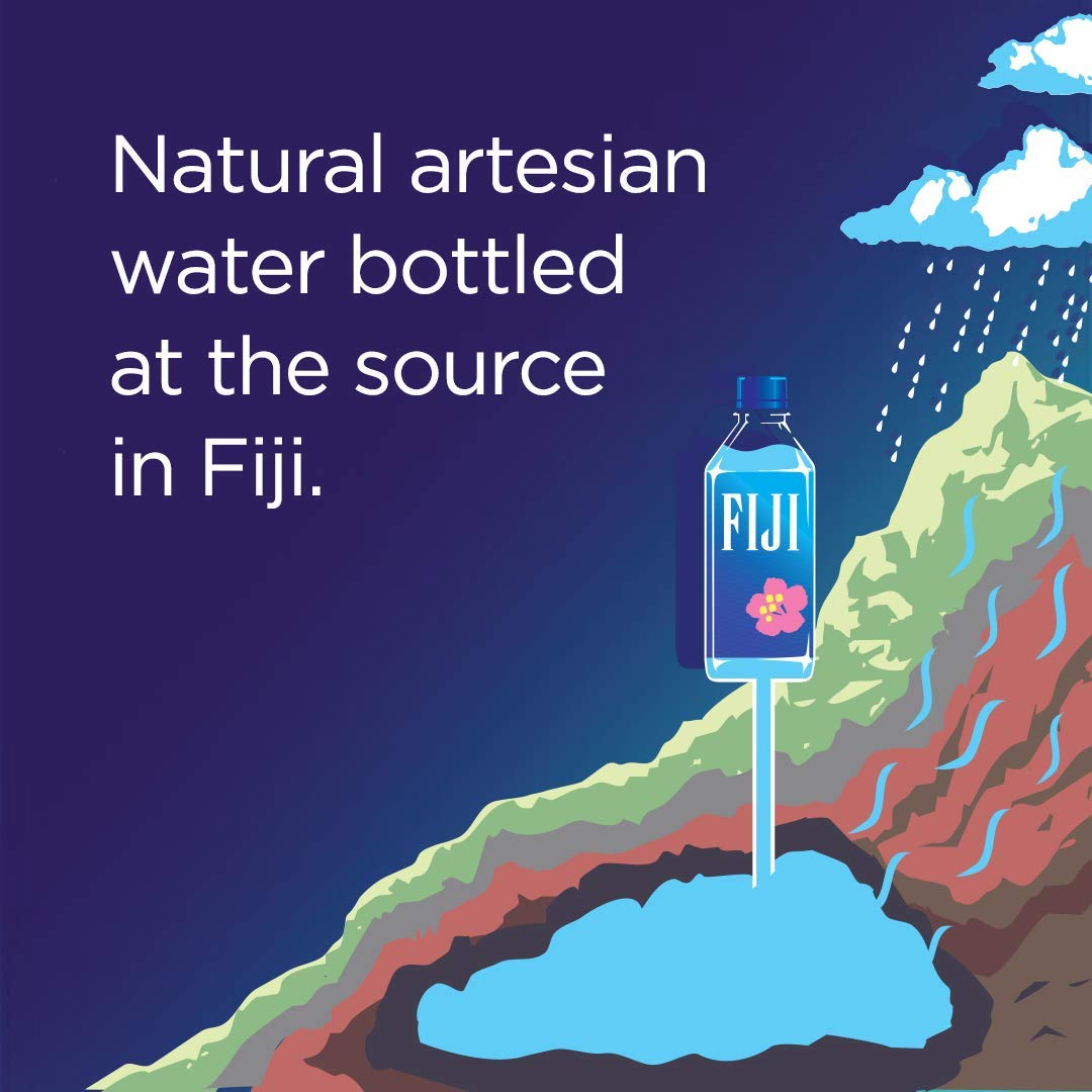 FIJI Natural Artesian Water. 16.9 Fl Oz Bottle (Pack of 24)