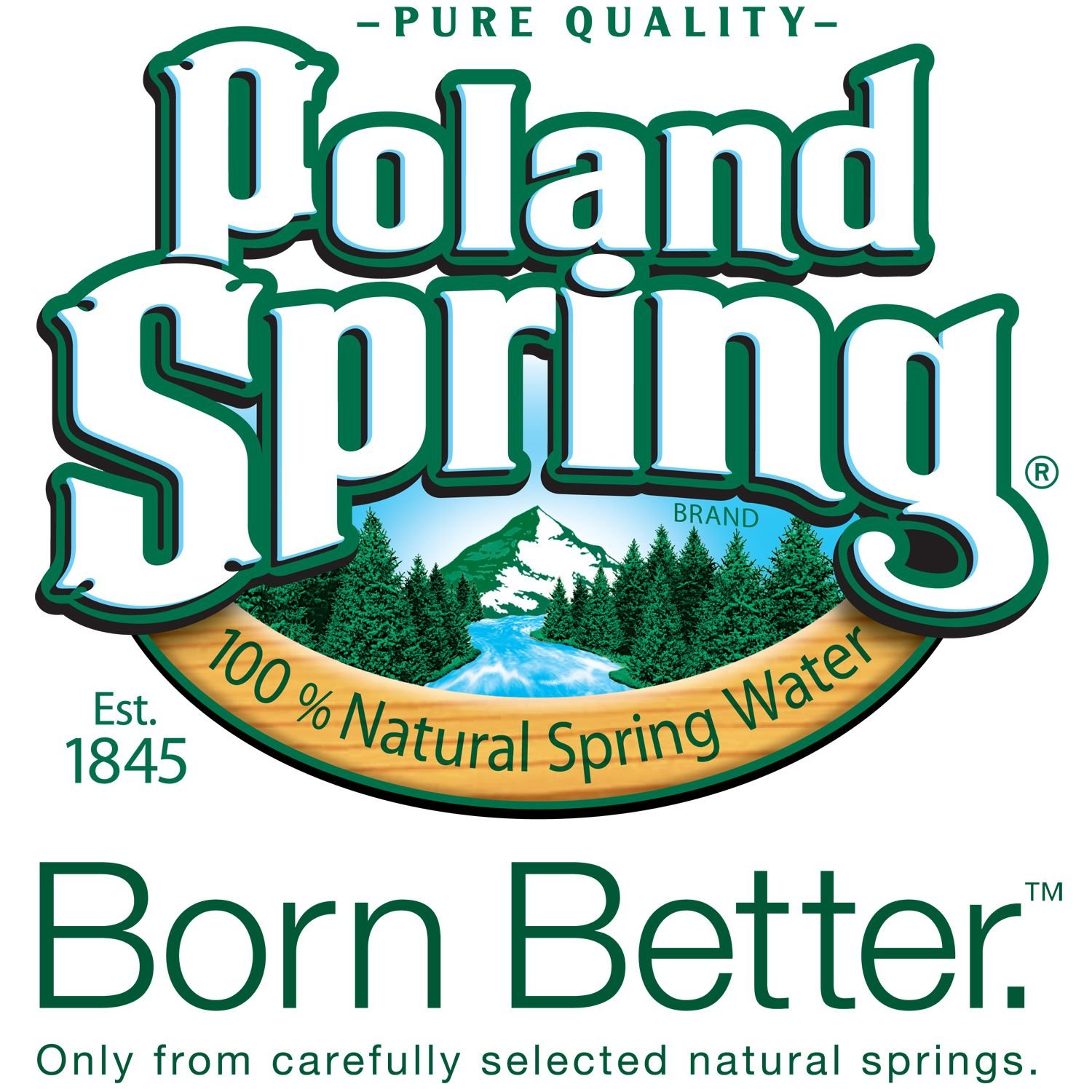 Poland Spring 100% Natural Spring Water (1.5 L bottles 12 pk.)