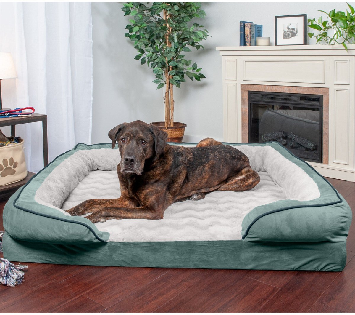 FurHaven Velvet Waves Perfect Comfort Orthopedic Sofa Cat & Dog Bed. Celadon Green. Jumbo Plus