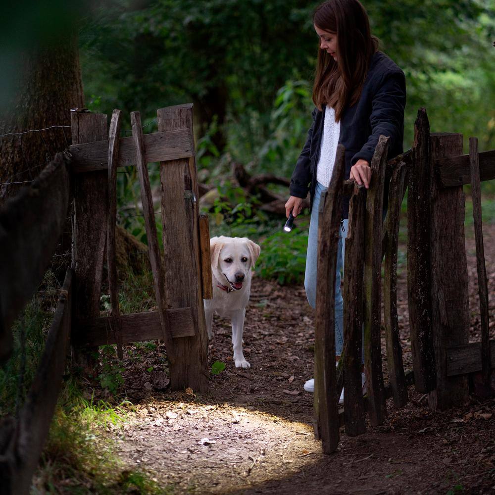 LEDLENSER P6R Core P6R Core Rechargeable Flashlight. 900 Lumens. Advanced Focus System. Waterproof