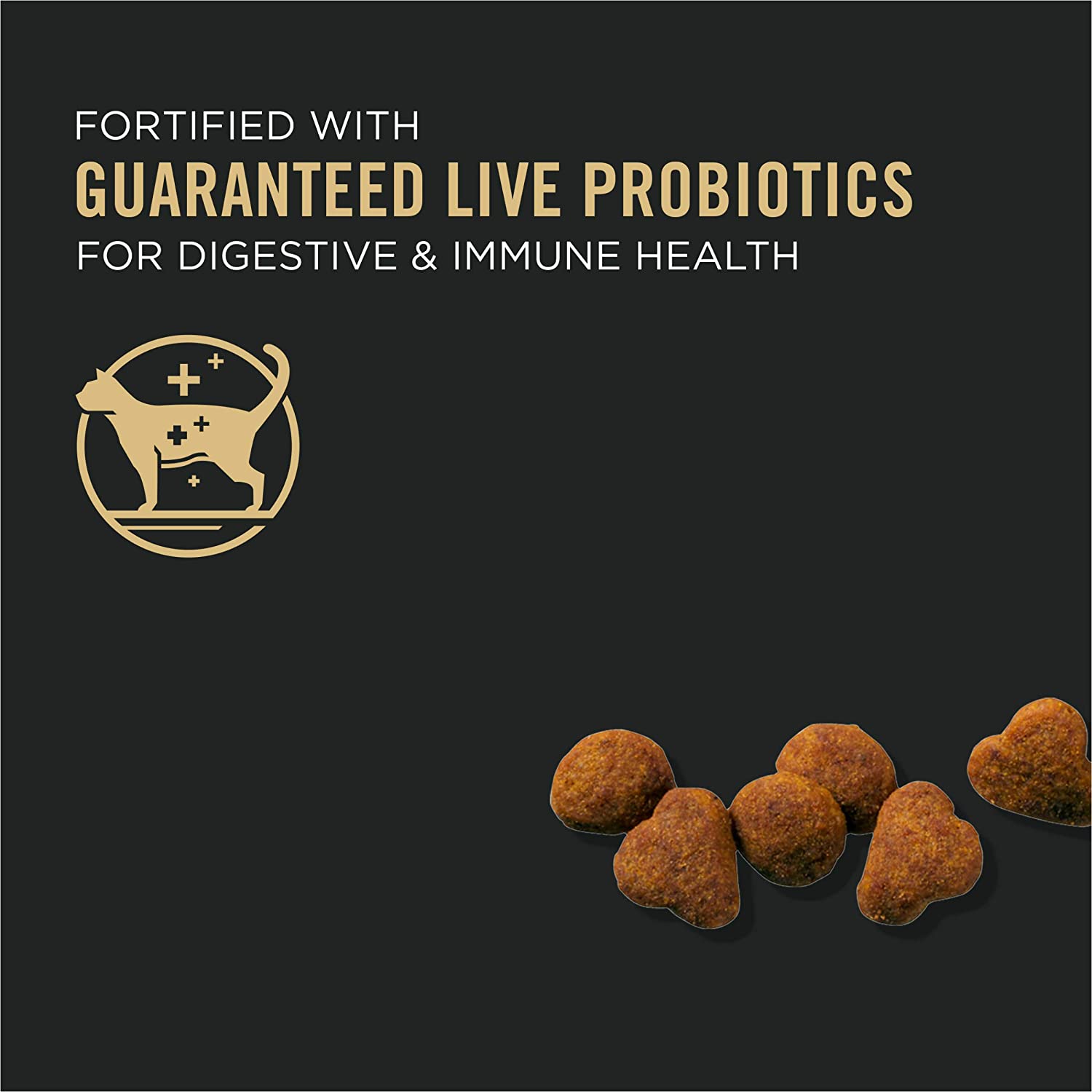 Purina Pro Plan Senior Dry Cat Food With Probiotics for Cats. Chicken and Rice Formula - 5.5 lb. Bag