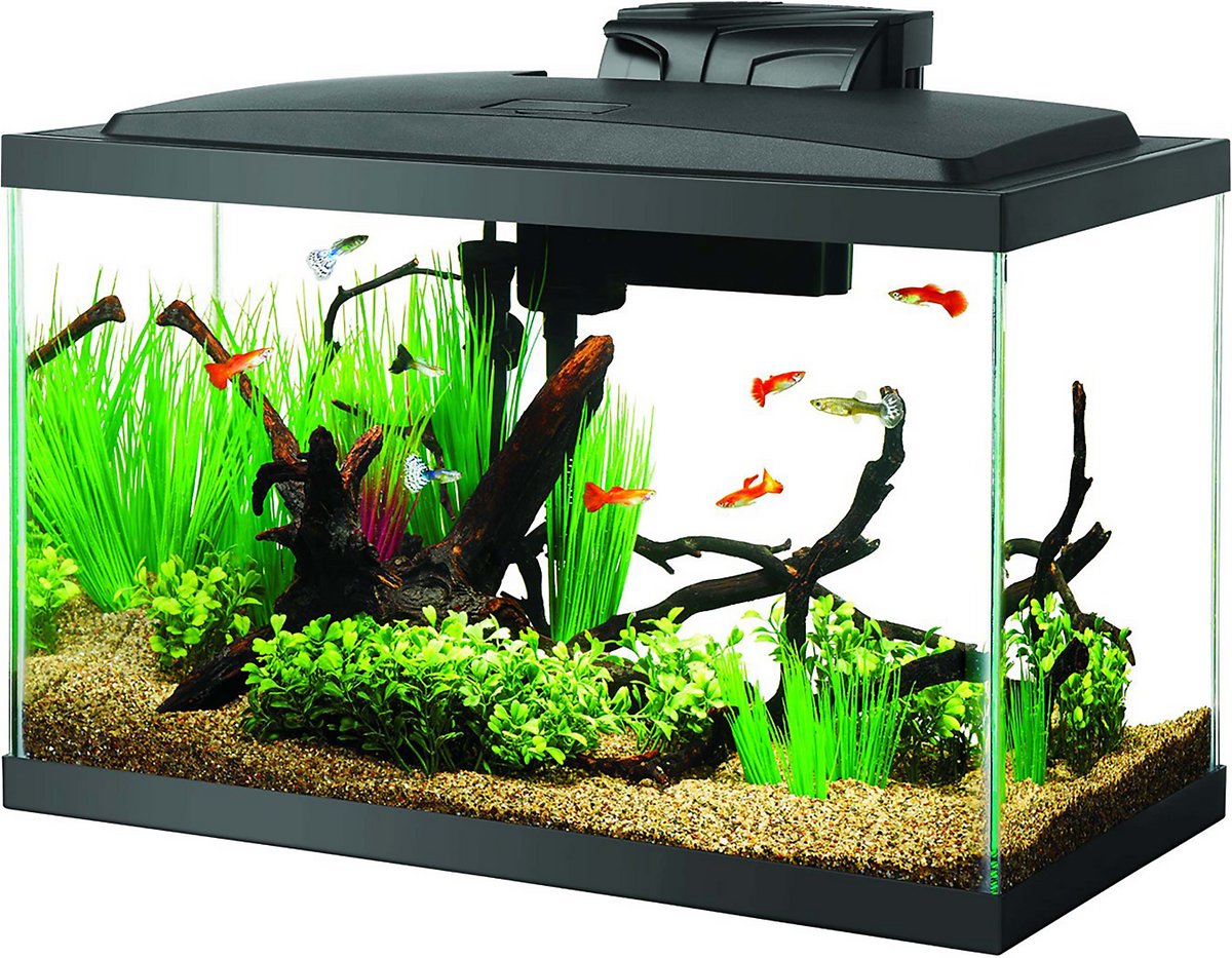 Aqueon LED Fish Aquarium Starter Kit. 10 gallon