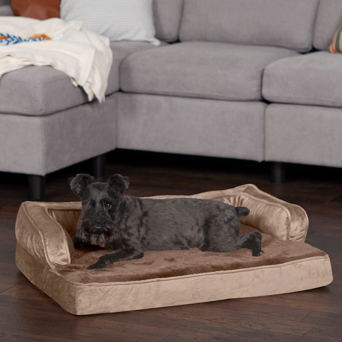 FurHaven Plush & Velvet Orthopedic Comfy Couch Dog & Cat Bed (medium)
