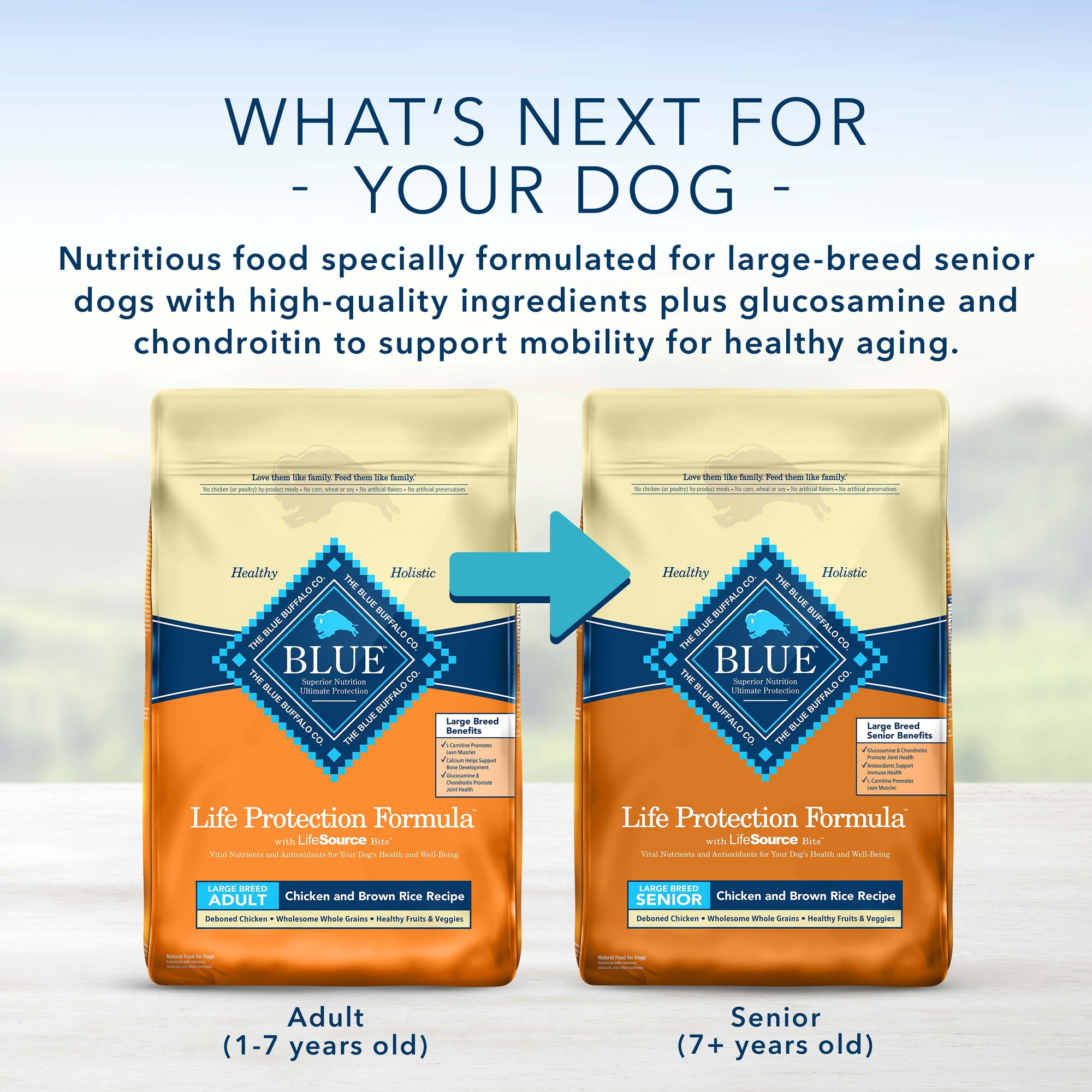 Blue Buffalo Life Protection Formula Natural Adult Large Breed Chicken and Brown Rice Dry Dog Food. 34 lbs.