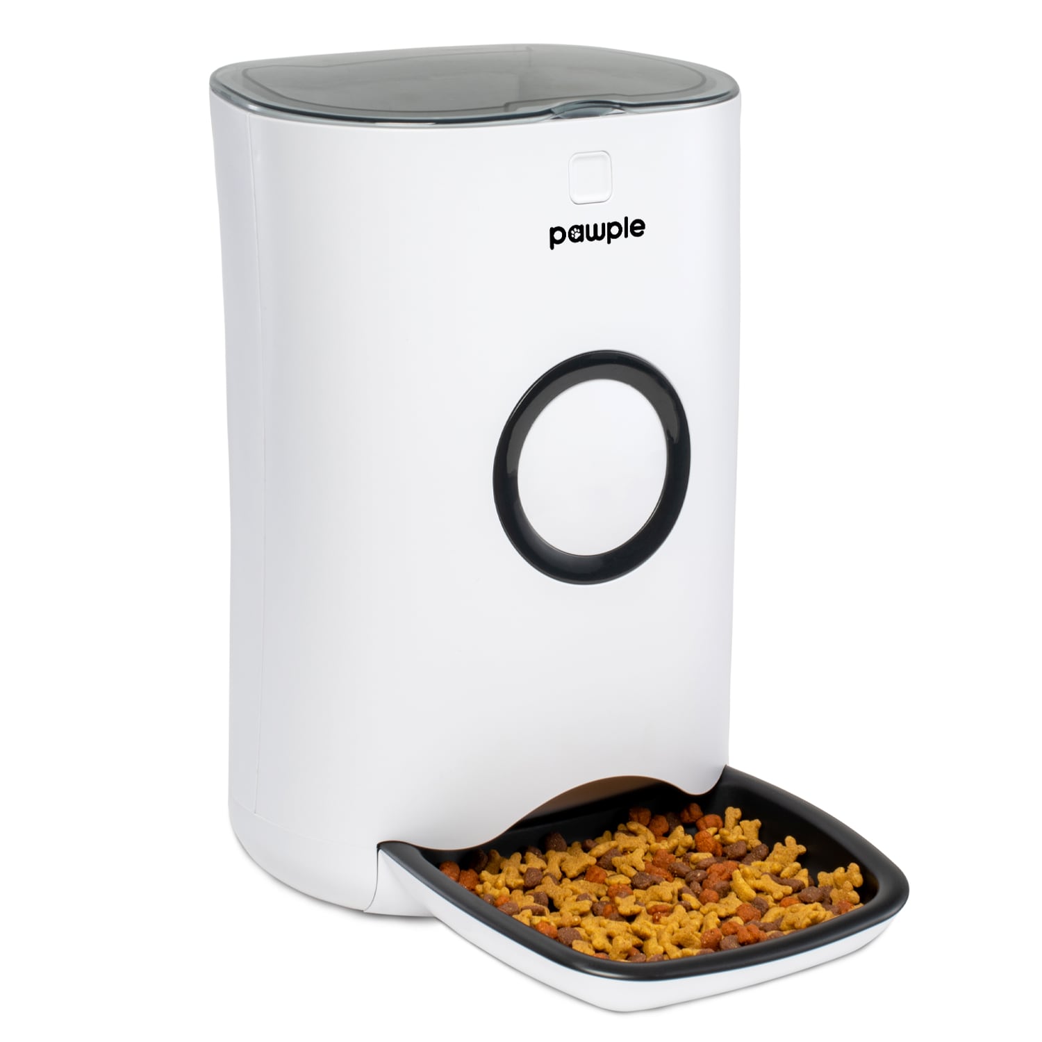 Pawple 160-oz Plastic Dog/Cat Automatic Feeder with Timer