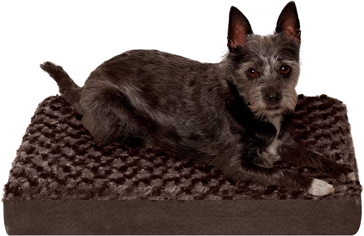 Furhaven Pet Bed for Dogs and Cats - NAP Ultra Plush Orthopedic Deluxe Dog Bed. Removable Machine Washable Cover. Chocolate (small)
