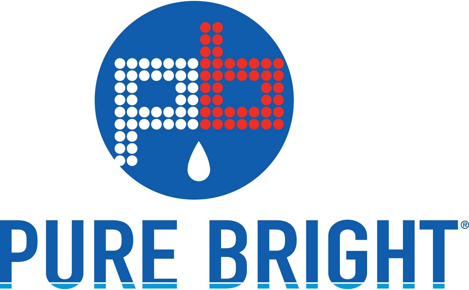 Pure Bright  128-fl oz Household Bleach