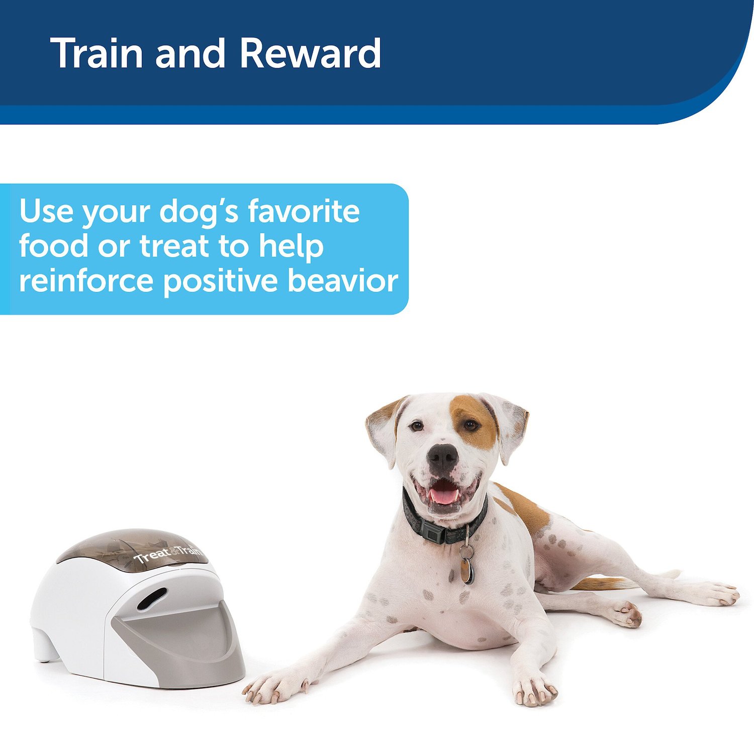 PetSafe Manners Minder Treat & Train Remote Reward Behavior Dog Trainer