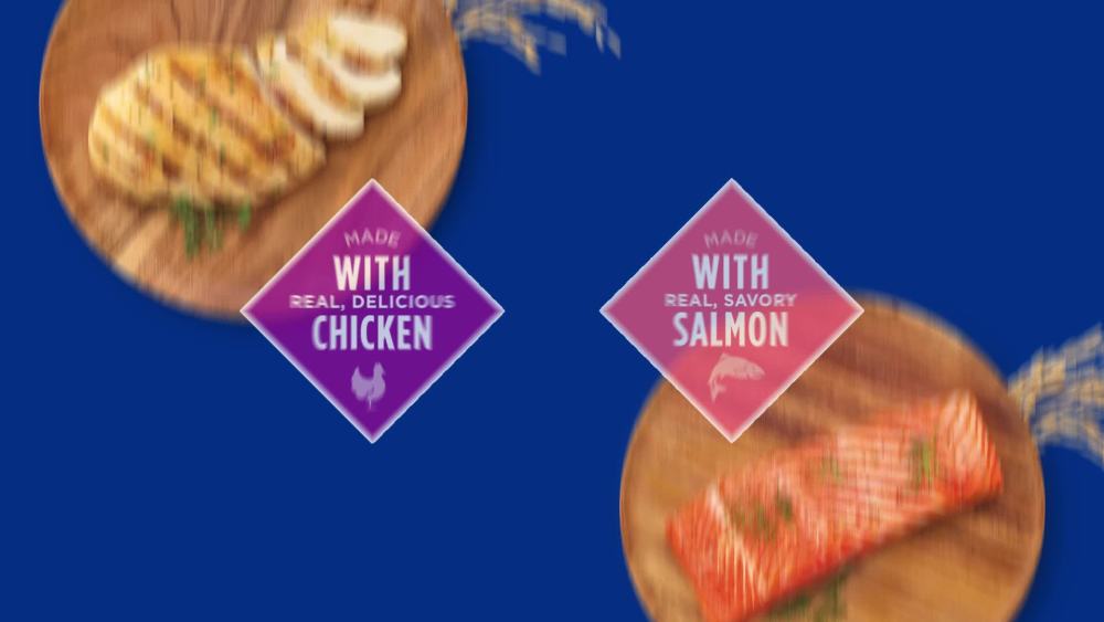 Purina Cat Chow Complete Dry Cat Food. 20 lb Bag