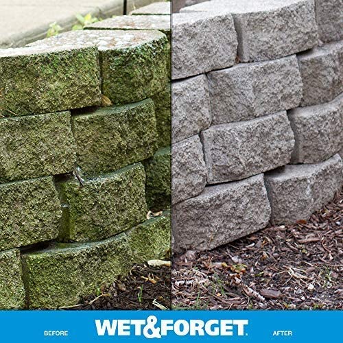 Wet and Forget 10587 1 Gallon Moss. Mold and Mildew Stain Remover