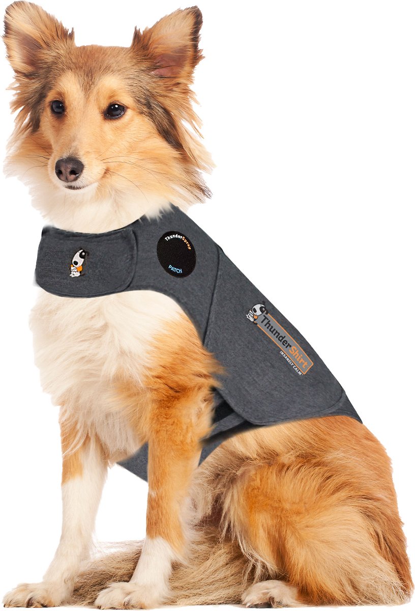 ThunderShirt Classic Anxiety & Calming Vest for Dogs. Heather Grey. Large