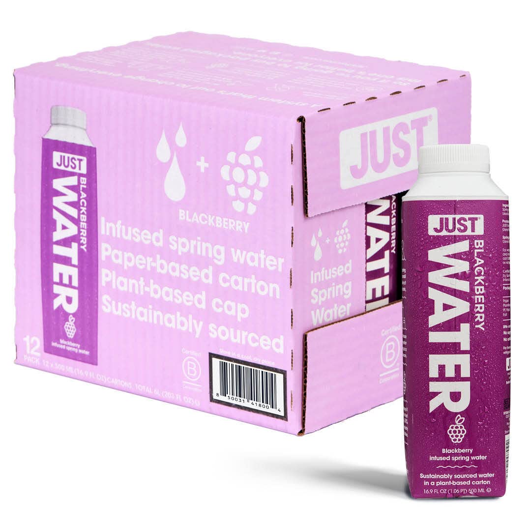 JUST Water Infused. Blackberry. Flavored Spring Water . 16.9 fl oz (Pack of 12)