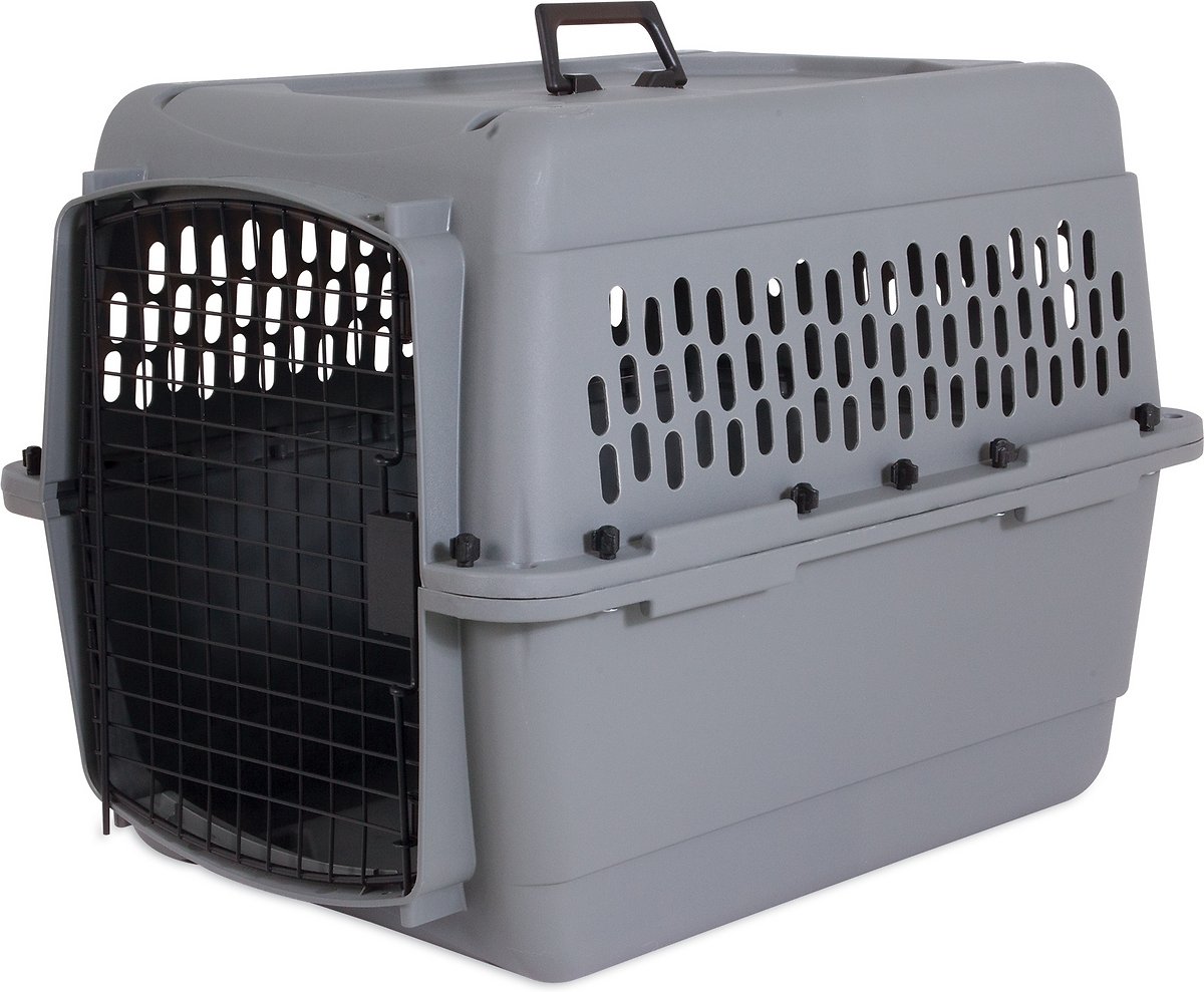Aspen Pet Traditional Dog & Cat Carrier. Light Gray. 28-in