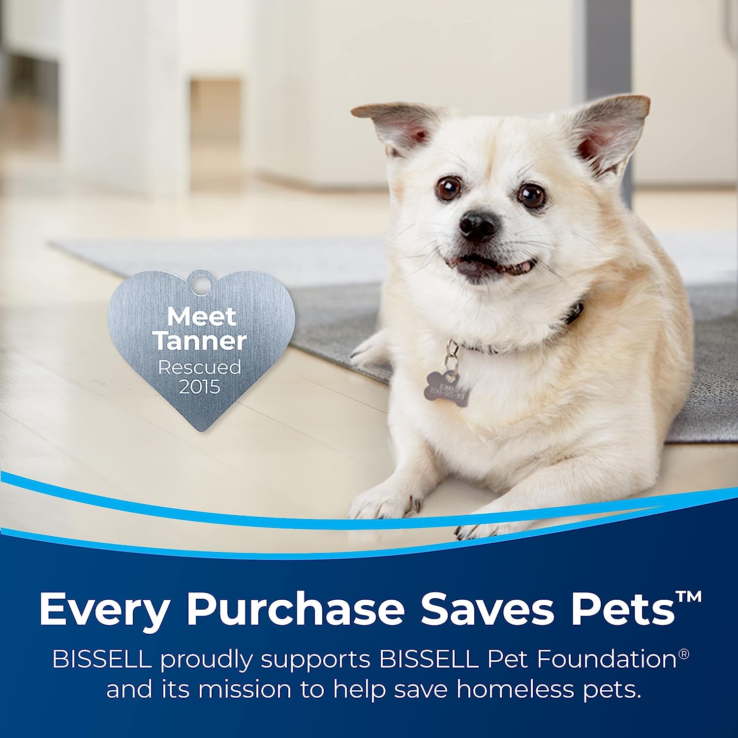 BISSELL Pet Stain Eraser Plus. 3181