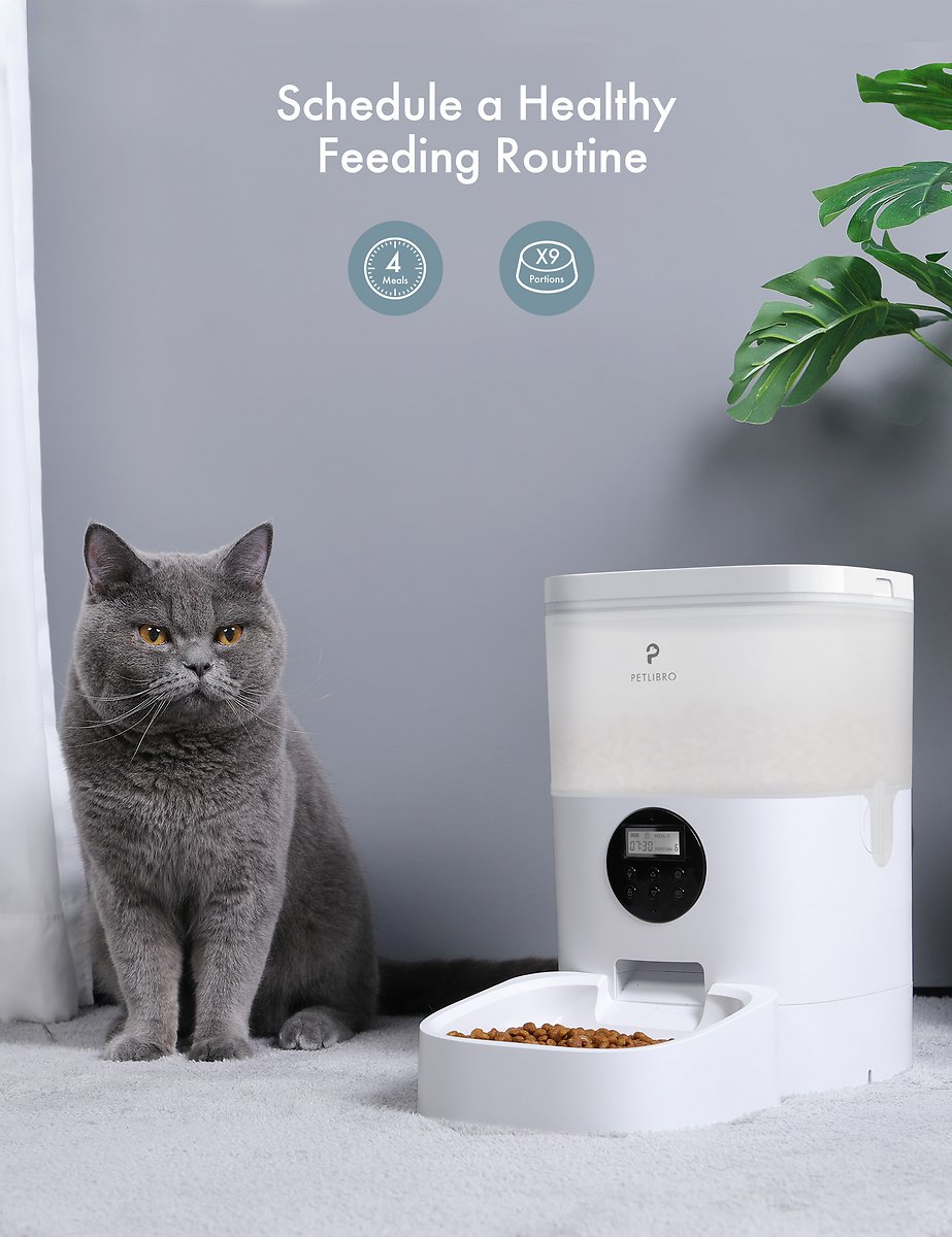 Petlibro Automatic Dog & Cat Feeder. Timed Cat Feeder with Desiccant Bag for Pet Dry Food. Programmable Portion Control 1-4 Meals per Day & 10s Voice Recorder for Cats and Dogs 17-cup (Translucent)