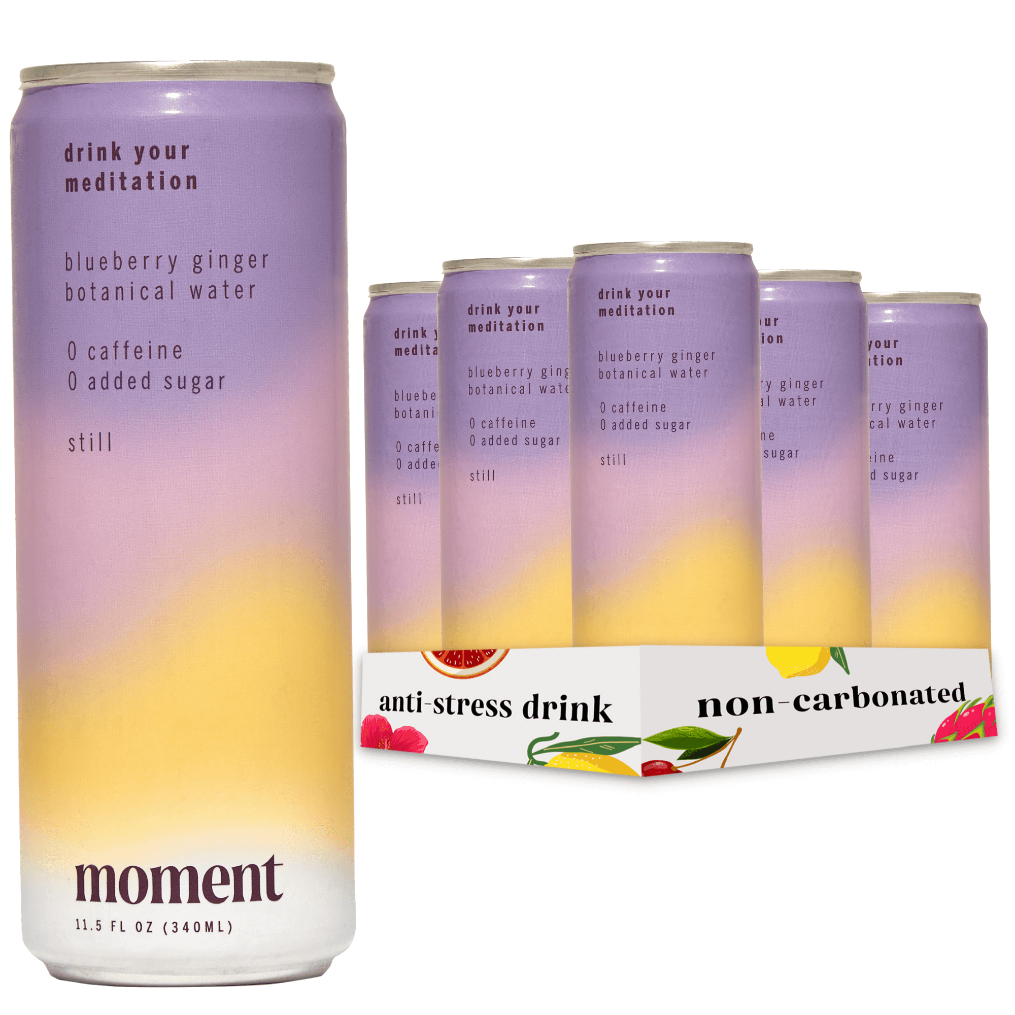Moment Botanical Water. Blueberry Ginger. Still. Zero Added Sugar. 12 Pack. 11.5 fl oz