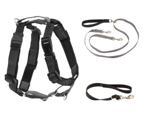 PetSafe 3 in 1 Harness with Two Point Control Leash