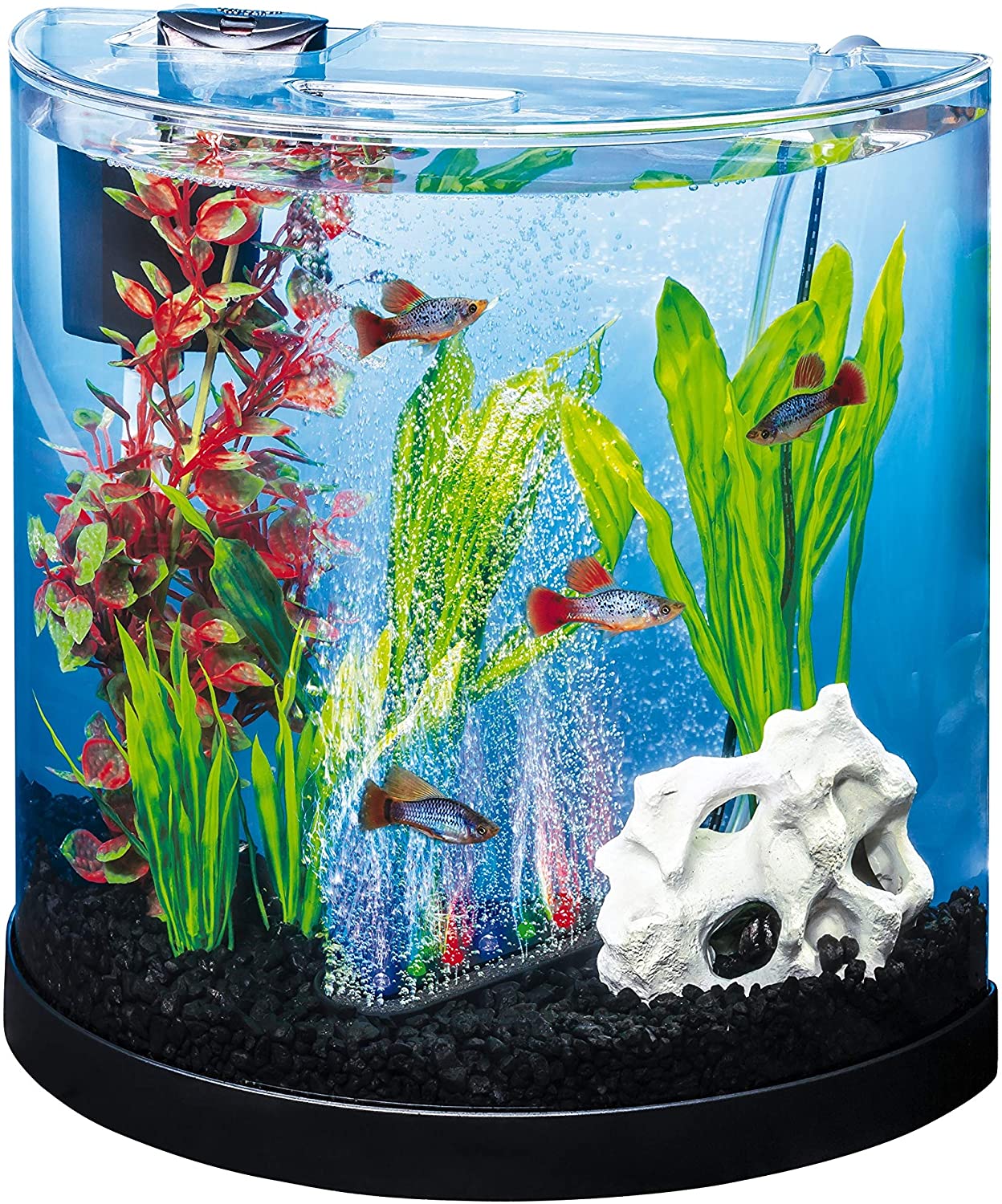 Tetra ColorFusion Half Moon Aquarium Kit. 3-gal