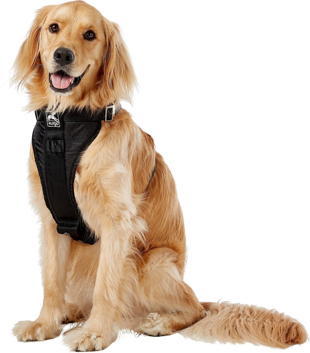 Kurgo Tru-Fit Enhanced Strength Crash Tested Smart Car Dog Harness. X-Large. Black